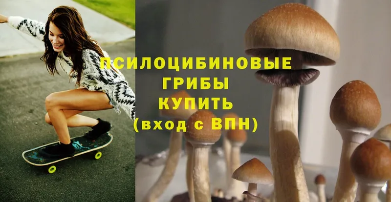 Псилоцибиновые грибы Magic Shrooms  shop официальный сайт  Людиново 